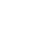 Home Icon